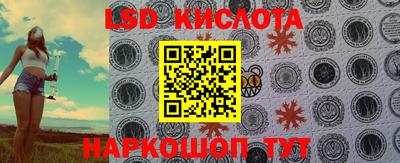 PSILOCYBIN Гусев